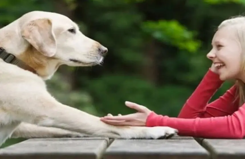 شركة صينية تترجم أصوات الحيوانات!