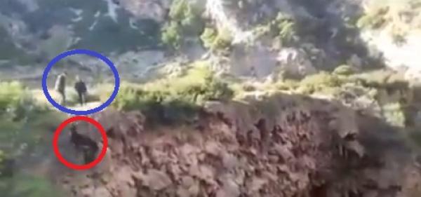 فيديو صادم...مراهقون يرمون حمارا من أعلى مرتفع شاهق ويتفرجون على جسده يتحطم