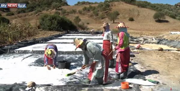 نساء يعملن باستخراج الملح وتجفيفه في قرية نواحي وزان