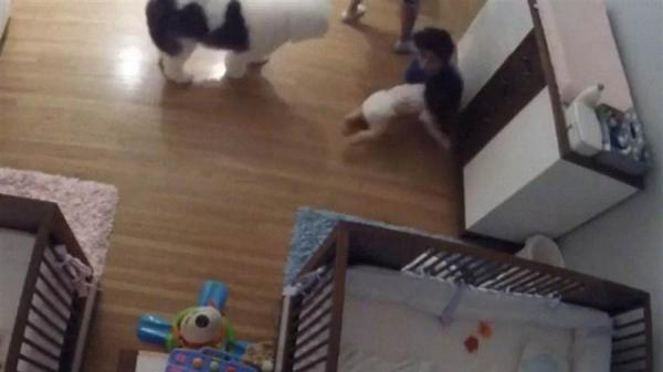 بالفيديو: طفل شجاع يتلقف شقيقه الرضيع بعد سقوطه من سريره