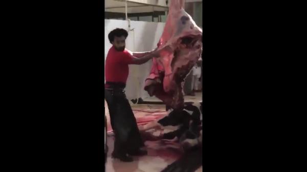 ظهور "محمد صلاح" في مسلخ للأضاحي بدولة عربية