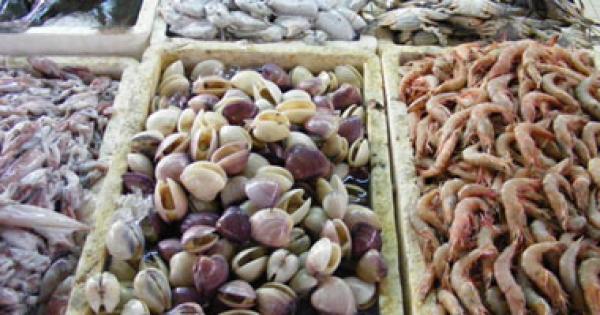 دراسة تكشف عن وجود خداع وغش فى سوق الأسماك الأمريكية