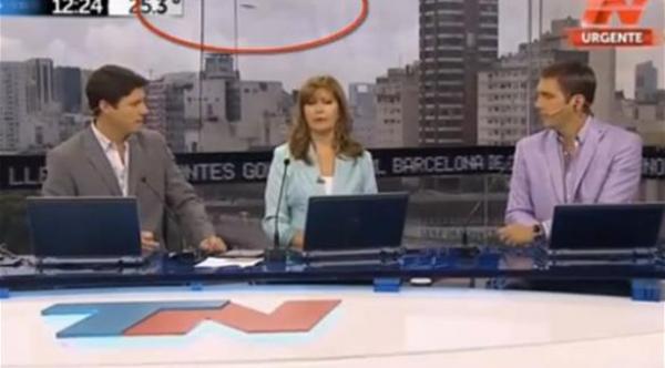 طبق طائر يظهر في نشرة أخبار على الهواء مباشرة