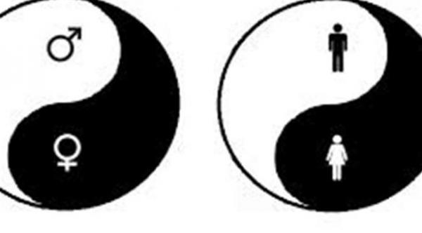  إدراج تصنيف "متنوع" بجانب كل من "ذكر" و"أنثى" 