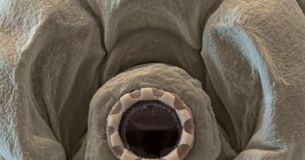 دراسة تكشف عن مخلوق يمكنه العيش فى الفضاء