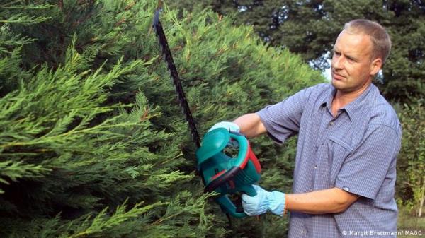 بينها البستنة..أنشطة تقلل من خطر الإصابة بـ"القاتل الصامت"