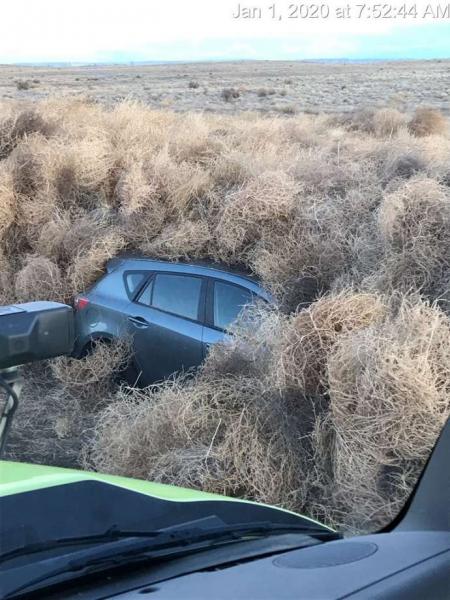 عاصفة من الأعشاب الجافة تبتلع السيارات