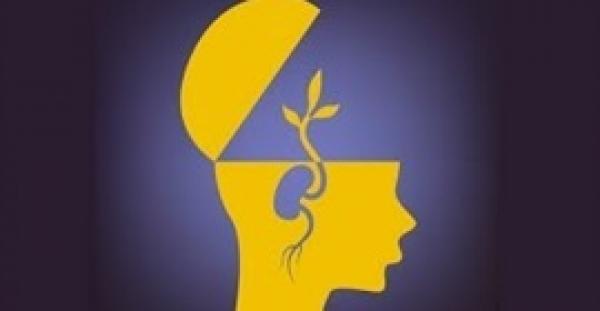 بالفيديو..7 وصفات طبيعية تقوي الذاكرة وتزيد الذكاء