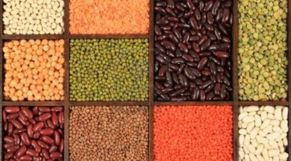 أطعمة لزيادة الذكاء والوقاية من الخرف