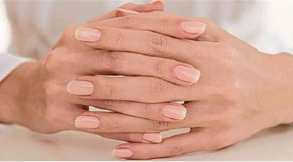 بروفيسور أمريكي يبتكر اختبارات جديدة للكشف عن الفرق بين الرجل والمرأة