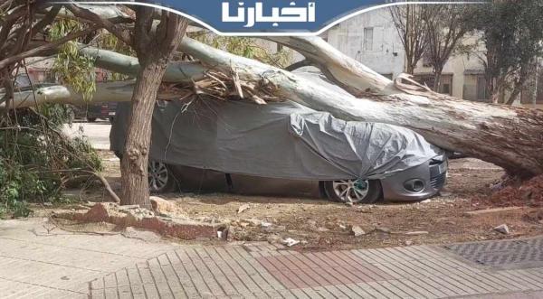 سقوط شجرة على سيارة خفيفة بالبيضاء بسبب الرياح القوية