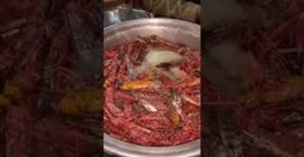 بيع الجراد في الأسواق السعودية وسعر الكيلو 80 دولار (فيديو)