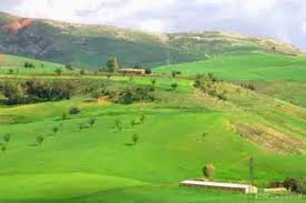 المغرب يطلق منتوجات تأمينية فلاحية في الأسابيع المقبلة