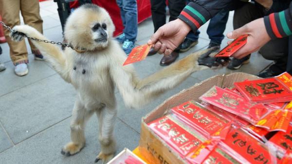 وداعا "بوكيمون غو" .. علي بابا يُطلق لعبة منافسة لالتقاط "النقود"