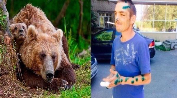 روسي يتغلب على دب مفترس بيديه العاريتين