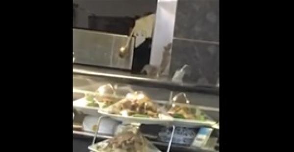 مشهد صادم لفئران تتجول بين أطعمة أحد المطاعم وتأكل منها (فيديو)