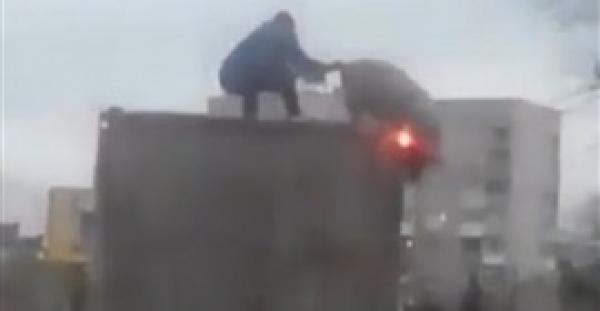 لحظة فرار خنزير جريء من أعلى شاحنة (فيديو وصور)