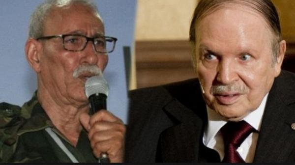 الأمم المتحدة تعري الجزائر وتؤكد على مسؤوليتها عن إطالة أمد النزاع المفتعل حول الصحراء