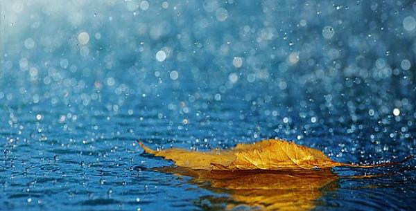 أمطار الخير في طريقها إلى سماء المملكة مجددا وهذه هي المناطق المعنية