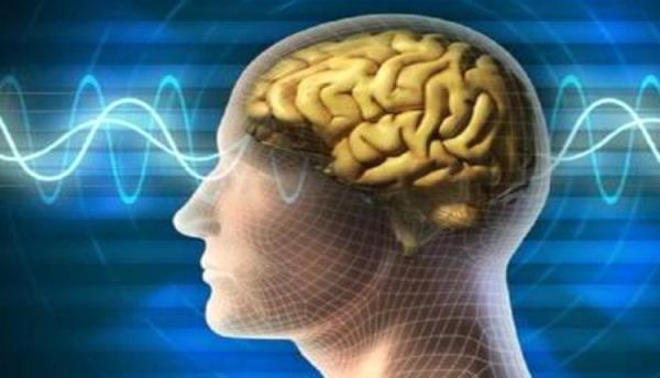 هذه الأطعمة تضعف وظائف الدماغ..تجنبها