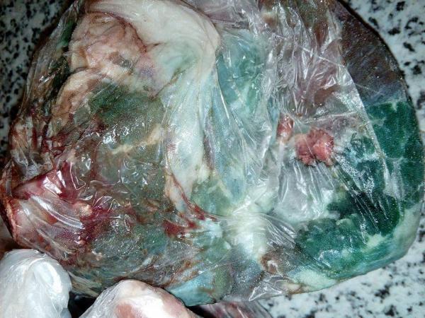 نقابة صيادلة المغرب تكشف حقائق خطيرة بخصوص تعفن لحوم الأضاحي و تؤكد أن تبريرات الوزارة غير مقنعة