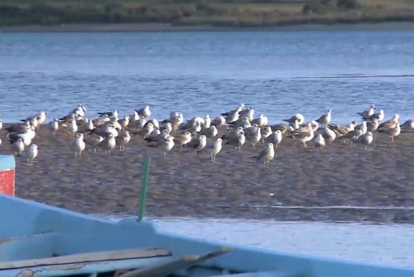 غريب ... خروج نيران ودخان من باطن أرض أشهر محمية بالمغرب