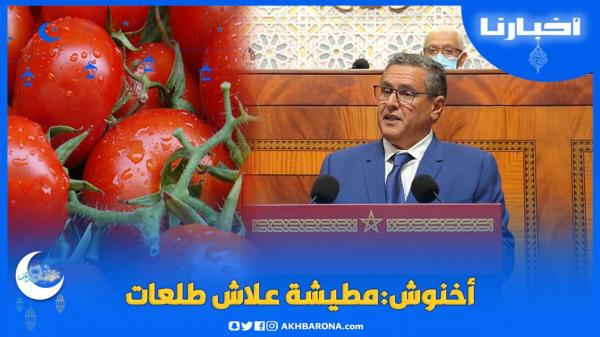 أخنوش:ها مطيشة علاش طلعات ولولا تدخل الدولة كان ثمنها غادي وصل 20 درهم