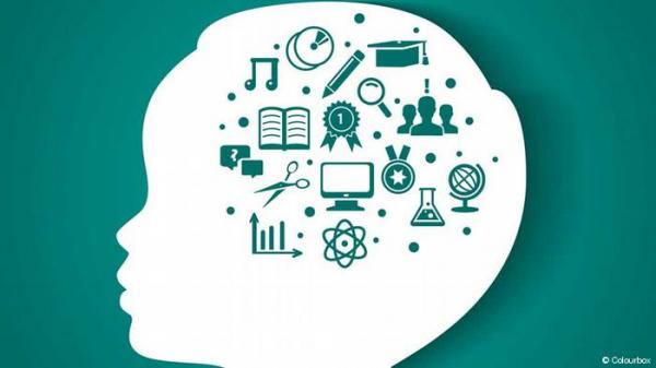 دراسة جديدة تقترب من حل لغز الذكاء البشري