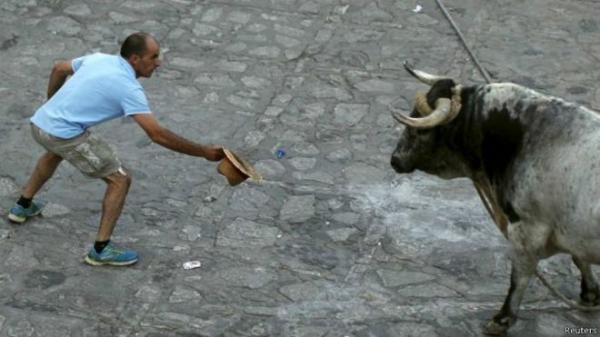 الثيران تقتل سبعة اشخاص باسبانيا  بينهم عضو مجلس بلدي