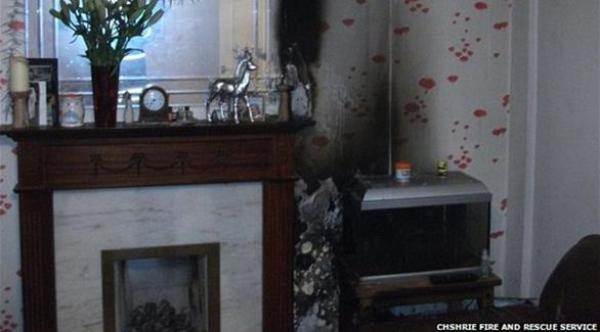  حوض السمك داخل المنزل (دايلي ميل) 