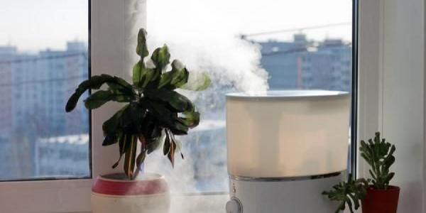 السموم داخل منزلك.. إليك 5 طرق بسيطة لمكافحتها