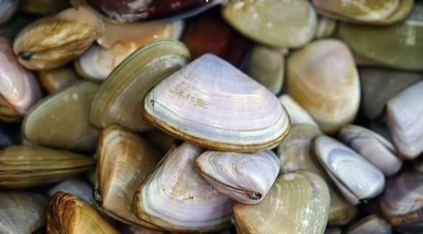 صورة تعبيرية من الارشيف