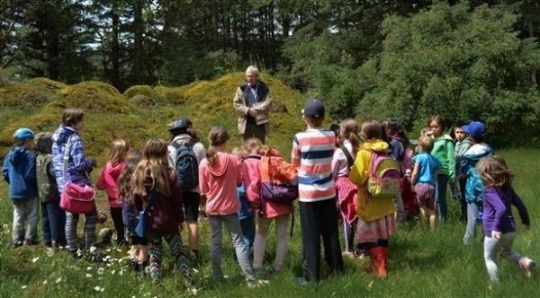 التعليم في الهواء الطلق أفضل لتركيز الطالب