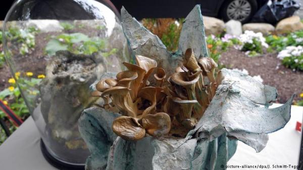 تماثيل فنية تنتج فطراً صالحاً للأكل.. كيف ذلك؟