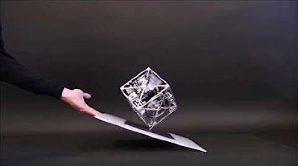 أغرب الفيديوهات النادرة في العالم.. لم تشاهدها من قبل يجب عليك مشاهدتها!!