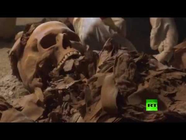 بالفيديو: العثور على كنز أثري فريد في مصر