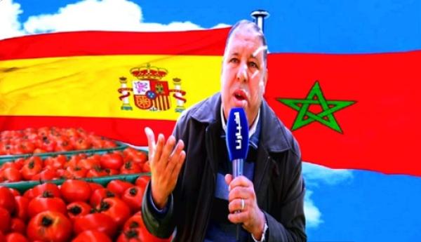 مومن يكشف أسباب ارتفاع سعر الطمام من جديد