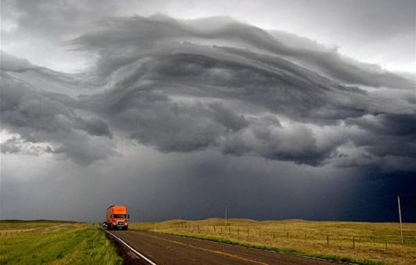 "علي" تسجل أولى ضحاياها!