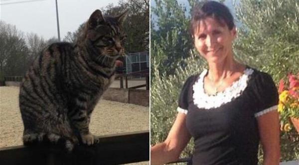 قط يعود للحياة بعد ساعة من دفنه في الحديقة
