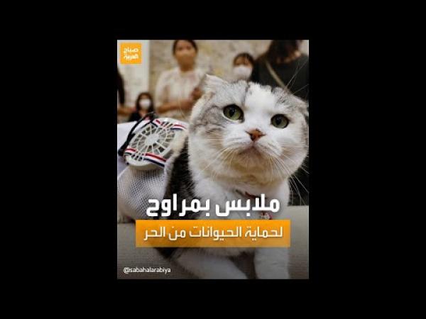 ملابس بمراوح للحيوانات الأليفة في اليابان