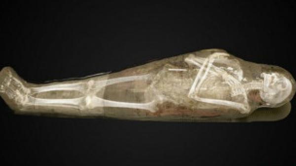 فحص "رقمي" لمومياء كاهن مصري قديم في استوكهولم