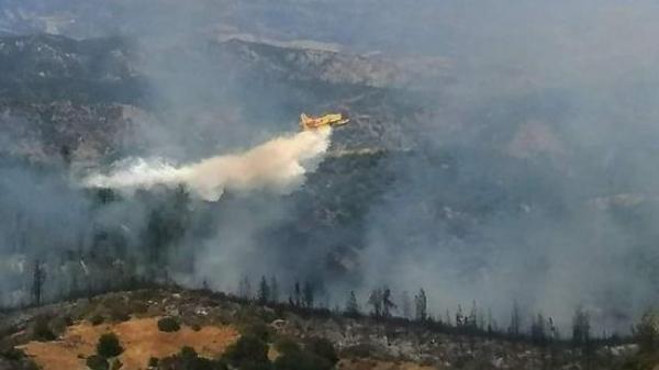 بعد تازة والعرائش.. حريق وزان يلتهم أزيد من 170 هكتارا وفرق الإنقاذ تعمل ليل نهار للسيطرة عليه