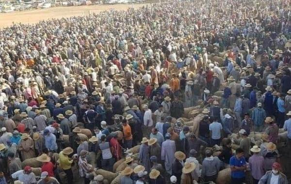 صورة تعبيرية 