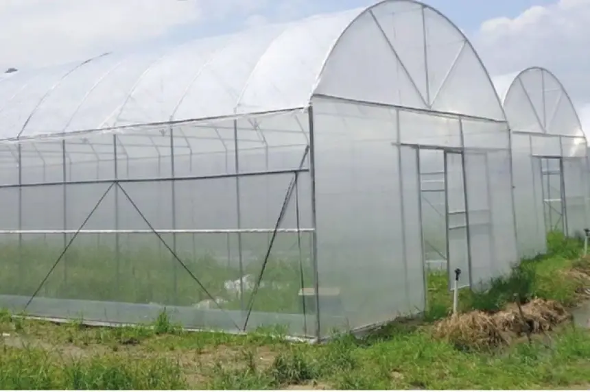 هل يستغل "الشناقة" الفرصة كالعادة.. أزمة البلاستيك الزراعي تنذر بارتفاع أسعار الخضر والفواكه بالأسواق المغربية