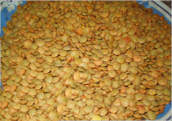 ما هى فوائد العدس؟