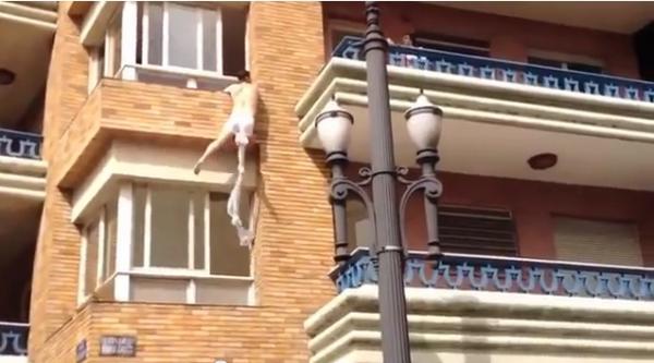 زوج يضبط زوجته تخونه و العشيق يهرب من النافذة