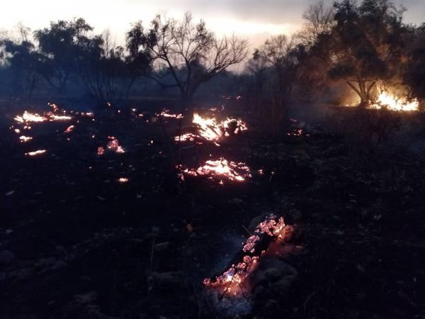 عاجل..النيران تتسبب في خسائر جسيمة وتأتي على الماشية والأشجار والحقول (فيديو+صور)