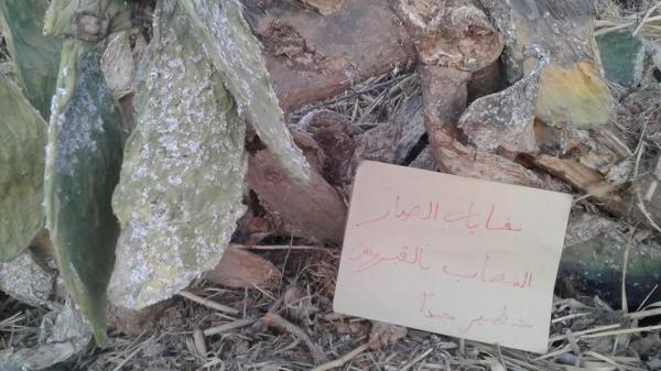 كارثة بالصور... نفايات الصبار المصاب بالفيروس تصيب بالعدوى أشجار دوار القرية النموذجية ومواطنون يشتكون من استهتار السلطات