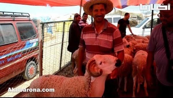 أجواء سوق الاضاحي بتطوان : وفرة العرض..ارتفاع الأثمنة و تردد المواطنين في الاقتناء