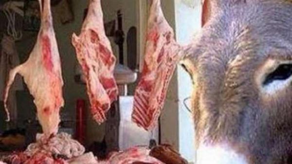 العثور على حمار مذبوح نواحي أكادير يثير مخاوف المواطنين